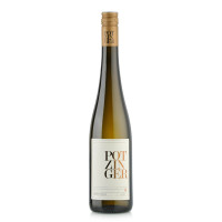 2018 Sauvignon Blanc | Ried Czamillonberg | DAC