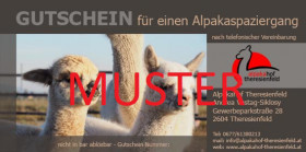 Gutschein für einen Alpakaspaziergang für 4 Personen