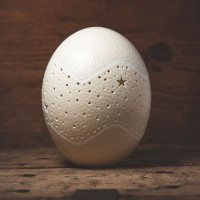 Straußen Ei Lampe Oberteil