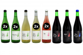 12 x 1 Liter Weinprobierpaket
