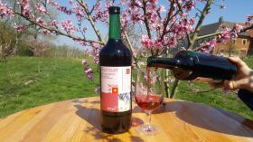 Apfel-Brombeersaft