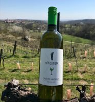 Grüner Veltliner Kremstal DAC