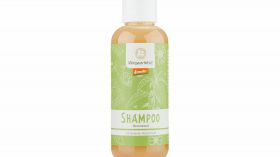 Shampoo Brennessel
