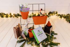 Geschenkidee Ansucht-Set Urban Gardening