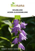 Bio-Wildblume Acker-Glockenblume SSBLU011