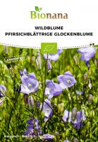 Bio-Wildblume Pfirsichblättrige Glockenblume SSBLU026