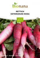 Bio-Rettich „Ostergruß Rosa“ SSRET004