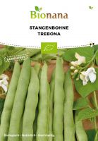 Bio-Stangenbohne „Trebona“ SSBOH006