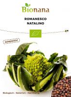 Bio-Romanesco „Natalino“ SSKOH007