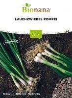 Bio-Lauchzwiebel „Pompei“ SSLZW001
