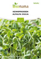 Bio-Keimsprossen Alfalfa „Giulia“ SSKSP001