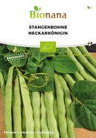 Bio-Stangenbohne „Neckarkönigin“ SSBOH005