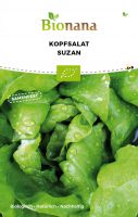Bio-Kopfsalat „Suzan“ SSSAL026
