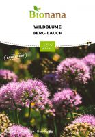 Bio-Wildblume Berg-Lauch SSBLU012