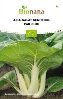 Bio-Asiasalat Pak Choi SSASI004