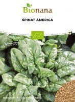 Bio-Spinat „America“ SSSPI001