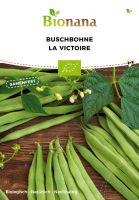 Bio-Buschbohne „La Victoire“ SSBOH008