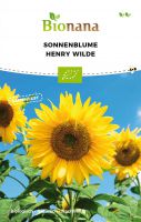 Bio-Sonnenblume „Henry Wilde“ SSBLU010