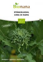 Bio-Stängelkohl „Cima di Rapa“ SSKOH017