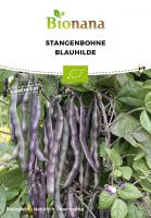 Bio-Stangenbohne „Blauhilde“ SSBOH002
