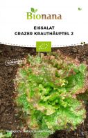 Bio-Eissalat „Grazer Krauthäuptel 2“ SSSAL004