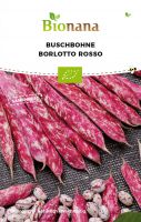 Bio-Buschbohne „Borlotto Rosso“ SSBOH007