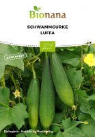 Bio-Schwammgurke Luffa SSGUR010