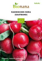 Bio-Radieschen „Sora“ (Saatband) SSRAD006