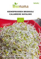 Bio-Keimsprossen Brokkoli „Calabrese Natalino“ SSKSP002