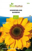 Bio-Sonnenblume „Bambino“ SSBLU009
