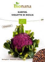 Bio-Karfiol „Violetto di Sicilia“ SSKOH004