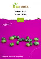 Bio-Minigurke Melothria SSGUR009