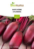 Bio-Rote Rübe „Cylindra“ SSROT004
