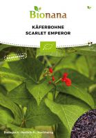 Bio-Käferbohne „Scarlet Emperor“ SSBOH004