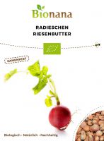 Bio-Radieschen „Riesenbutter“ SSRAD003