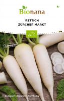 Bio-Rettich „Zürcher Markt“ SSRET006