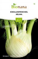 Bio-Knollenfenchel „Selma“ SSKNF005