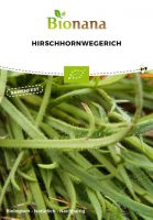 Bio-Hirschhornwegerich SSSAL014