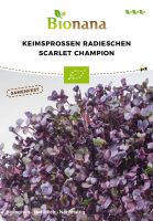 Bio-Keimsprossen Radieschen „Scarlet Champion“ SSKSP003