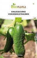 Bio-Einlegegurke „Vorgebirgstrauben“ SSGUR008
