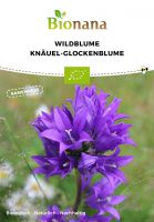 Bio-Wildblume Knäuel-Glockenblume SSBLU020