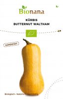 Bio-Kürbis „Butternut Waltham“ SSKUE011