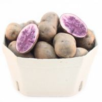 Bio Blue Salad Potato 
