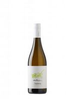 Chardonnay Ried Goldlage 2019