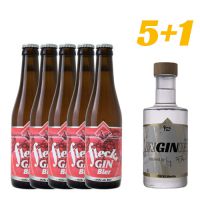 FLECKS 5x GINBier + 1 x FLECKS BierGIN im 6er Träger