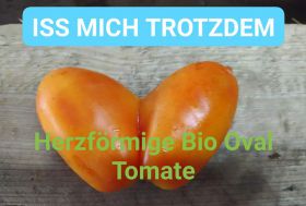 Bio Gemüse 2. Wahl (ISS MICH TROTZDEM) Kisterl