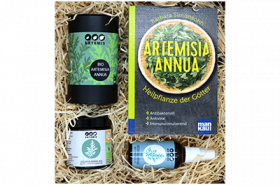 Geschenkbox "Artemisia annua" klein