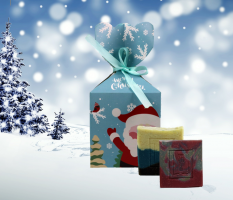 Weihnachtsgeschenkbox mit 2 Seifen nach Wahl