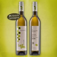 Sauvignon blanc 2019 V1 | Klassische Spontangärung