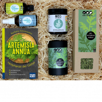 Geschenkbox "Artemisia annua" groß